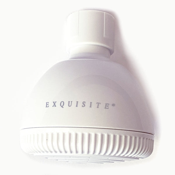 Exquisite 1-Function Spray Jet Shower Head - 520 1110WT (White)
