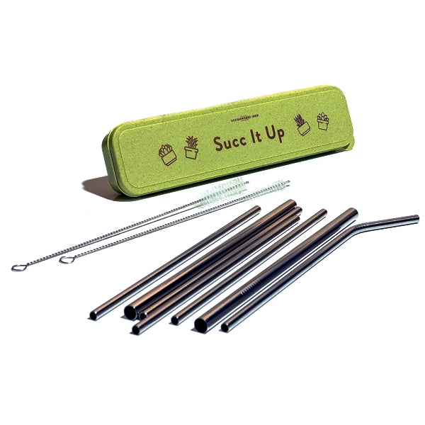 Succ It Up Stainless Steel Drinking Straws & Cleaning Brushes 11-Piece Set
