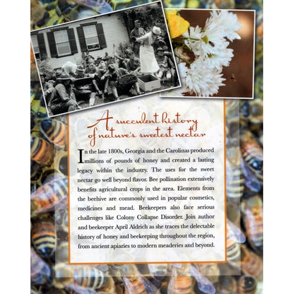 A History of Honey in Georgia and the Carolinas - April Aldrich (Paperback Book)