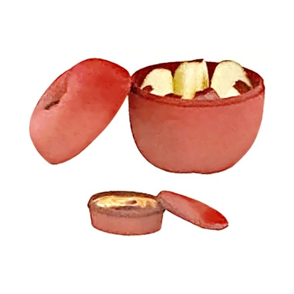 Newclassic All - in - One Snack Storage Container - Red Apple (4.25" x 4") Food Safe, Perfect for Snack and Dip On - the - Go - Dollar Fanatic
