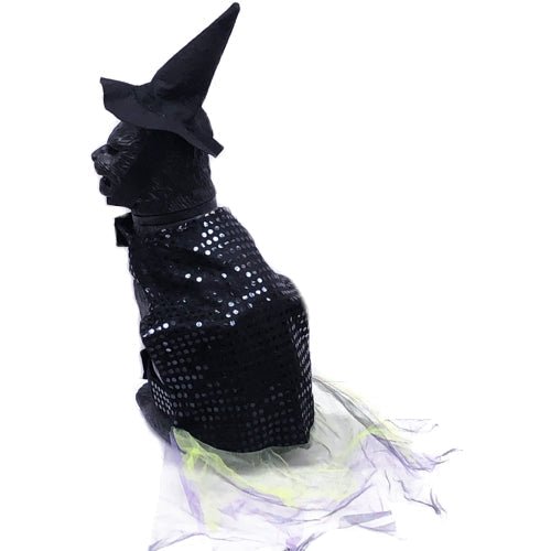 Black Witch Halloween Pet Costume Set (Select Size) - DollarFanatic.com