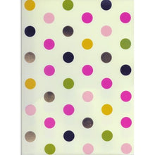 Class Act 2-Pocket Prong Plastic Portfolio Folder - Cleo Collection (Select Design) - DollarFanatic.com