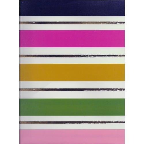 Class Act 2-Pocket Prong Plastic Portfolio Folder - Cleo Collection (Select Design) - DollarFanatic.com