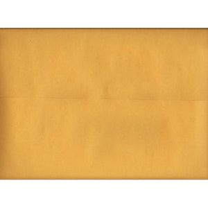 Large 15" x 10" Kraft Envelope - 5" Flap (1 Count) - DollarFanatic.com